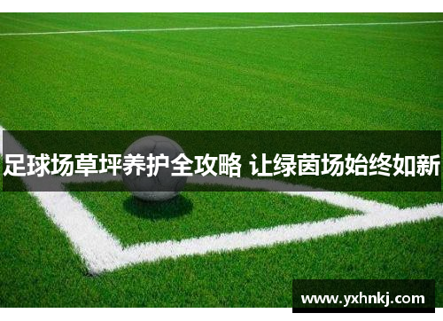 足球场草坪养护全攻略 让绿茵场始终如新