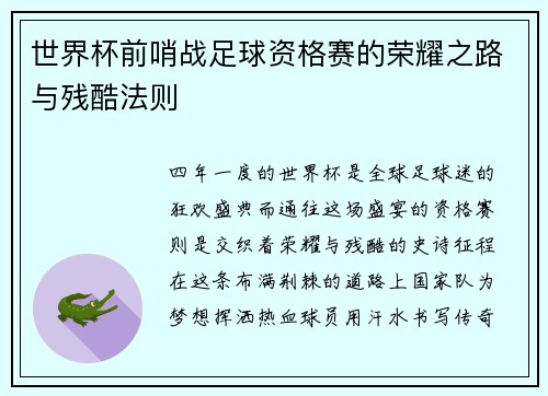 世界杯前哨战足球资格赛的荣耀之路与残酷法则